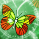 Papillon mosaque vert orang