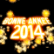 Feu d'artifice "Bonne anne 2014"